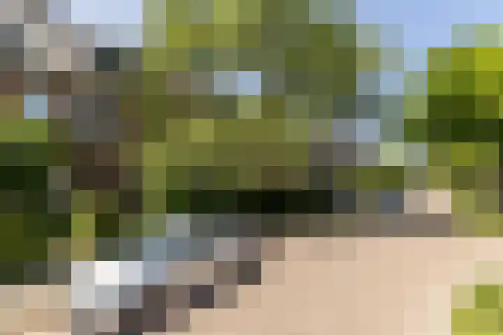 Larikslaan 222 Rotterdam thumbnail 53