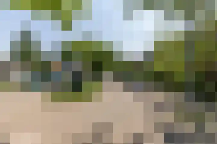 Larikslaan 222 Rotterdam thumbnail 54