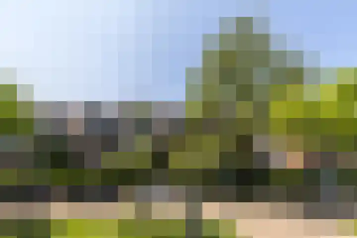 Larikslaan 222 Rotterdam thumbnail 56