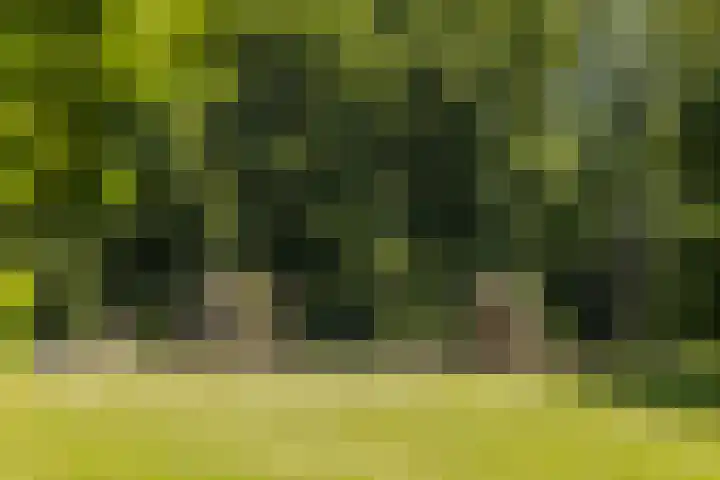 Larikslaan 222 Rotterdam thumbnail 58