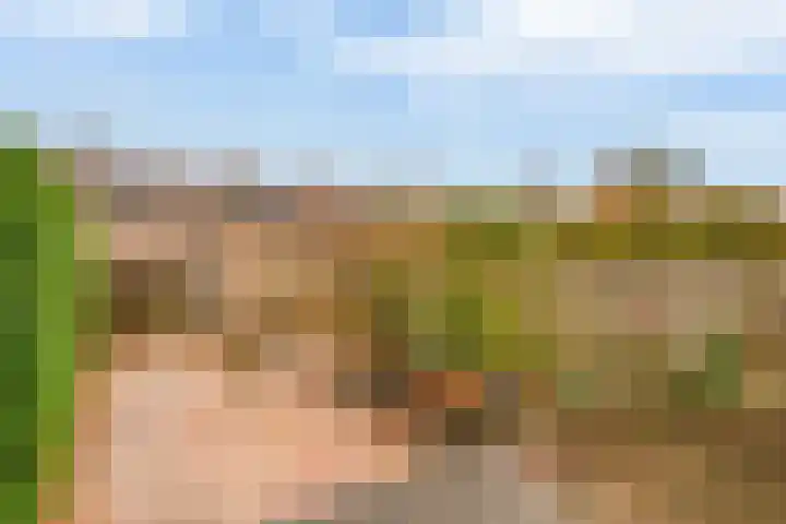 Larikslaan 232 Rotterdam thumbnail 19