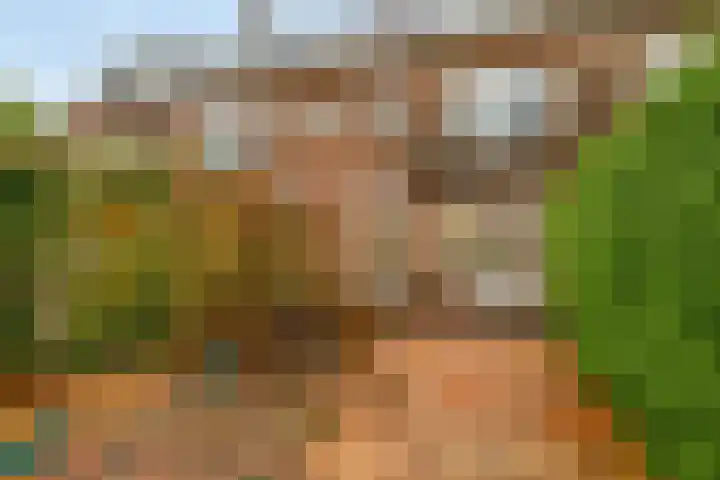 Larikslaan 232 Rotterdam thumbnail 21