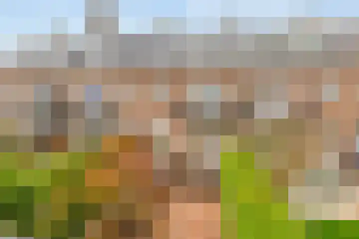 Larikslaan 232 Rotterdam thumbnail 22