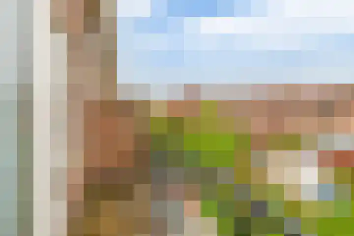 Larikslaan 232 Rotterdam thumbnail 33