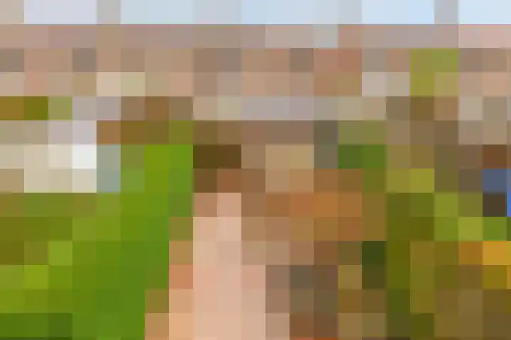 Larikslaan 232 Rotterdam thumbnail 35