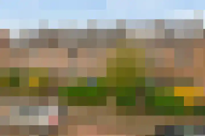 Larikslaan 232 Rotterdam thumbnail 41