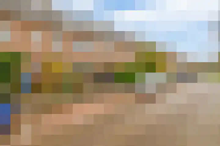 Larikslaan 232 Rotterdam thumbnail 42