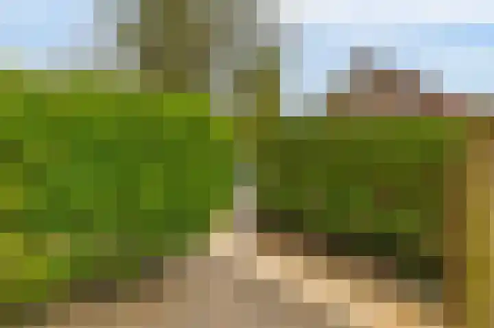 Larikslaan 232 Rotterdam thumbnail 6
