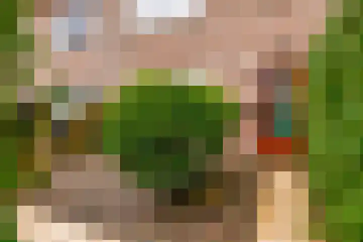 Larikslaan 232 Rotterdam thumbnail 7