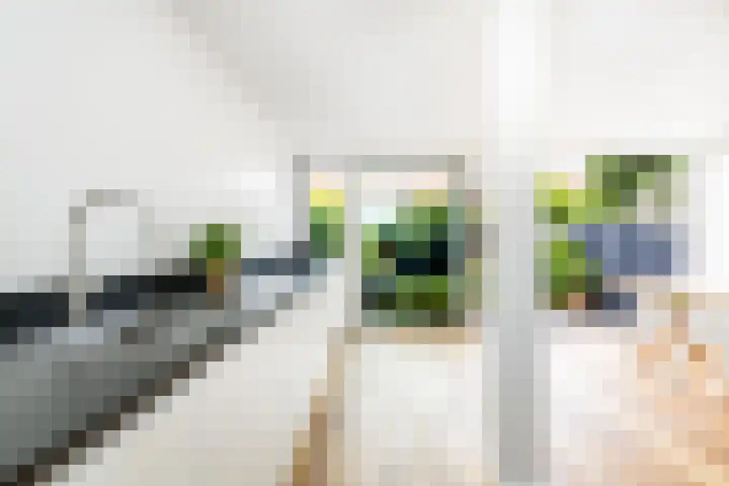 Larikslaan 240 Rotterdam thumbnail 15