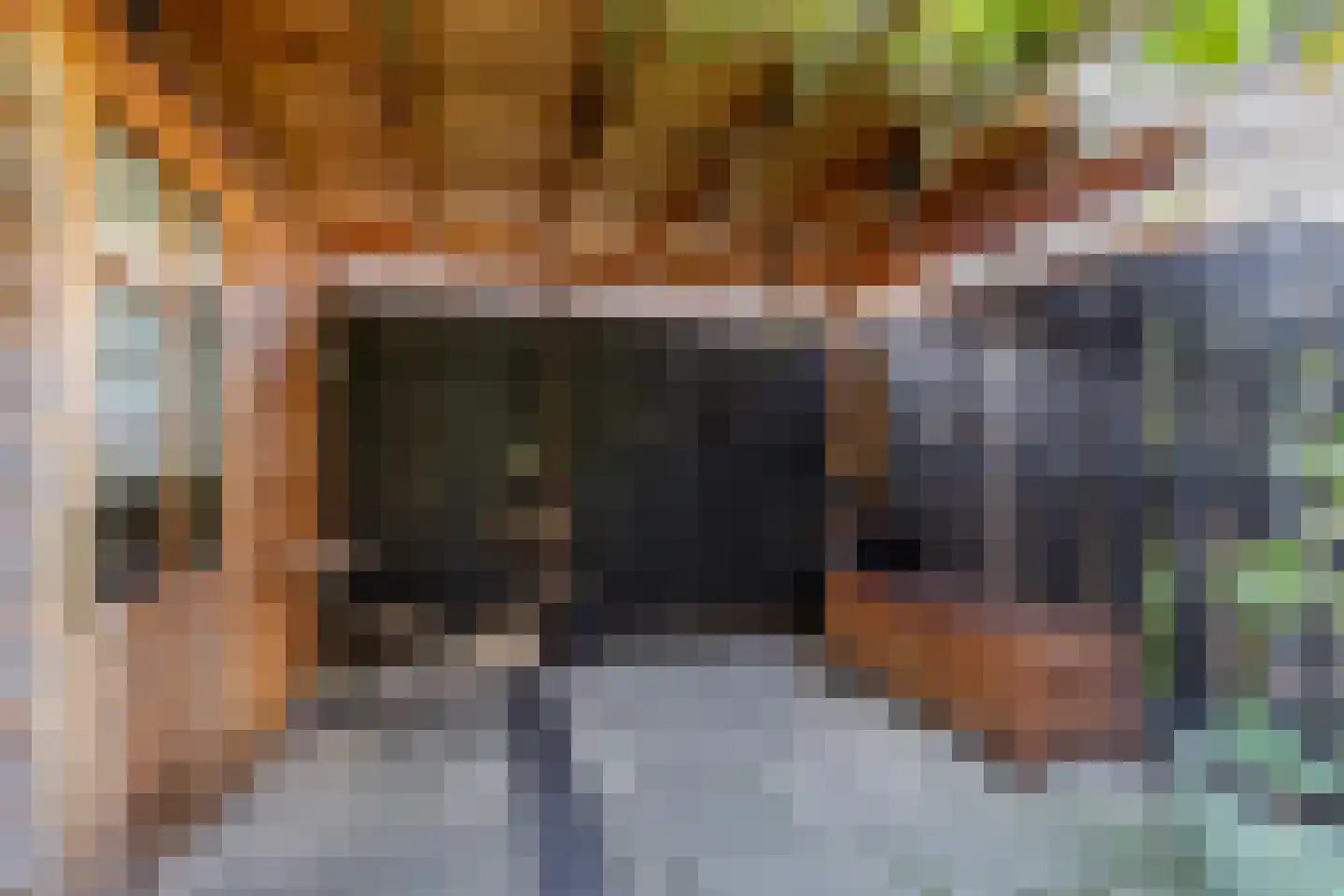 Larikslaan 240 Rotterdam thumbnail 22
