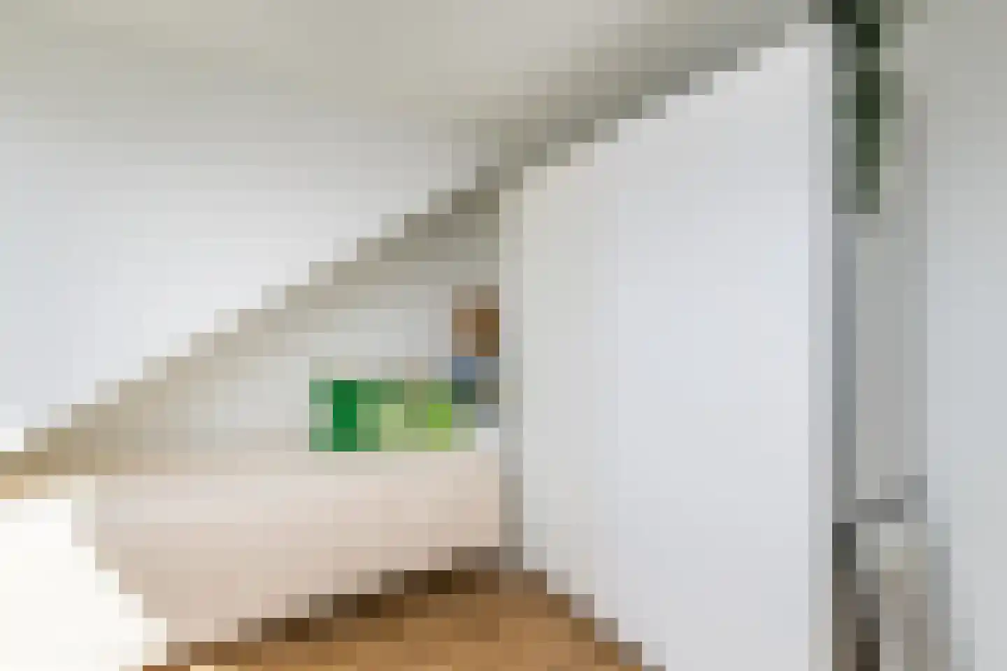 Larikslaan 240 Rotterdam thumbnail 40