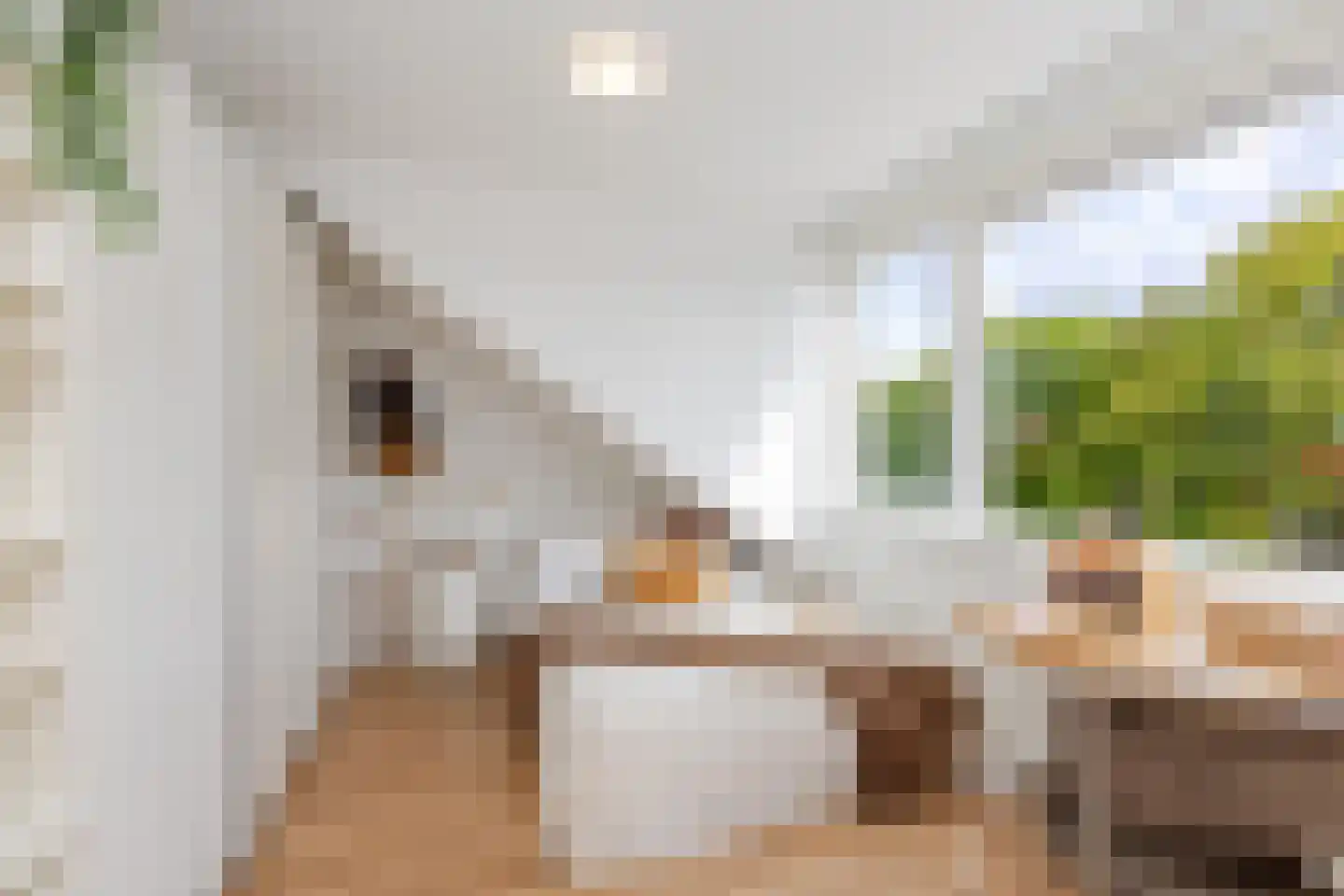 Larikslaan 240 Rotterdam thumbnail 47