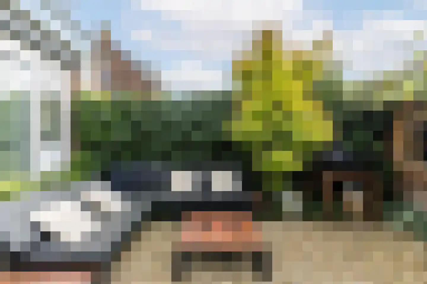 Larikslaan 240 Rotterdam thumbnail 47