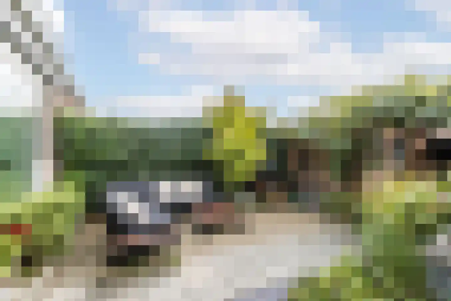 Larikslaan 240 Rotterdam thumbnail 5