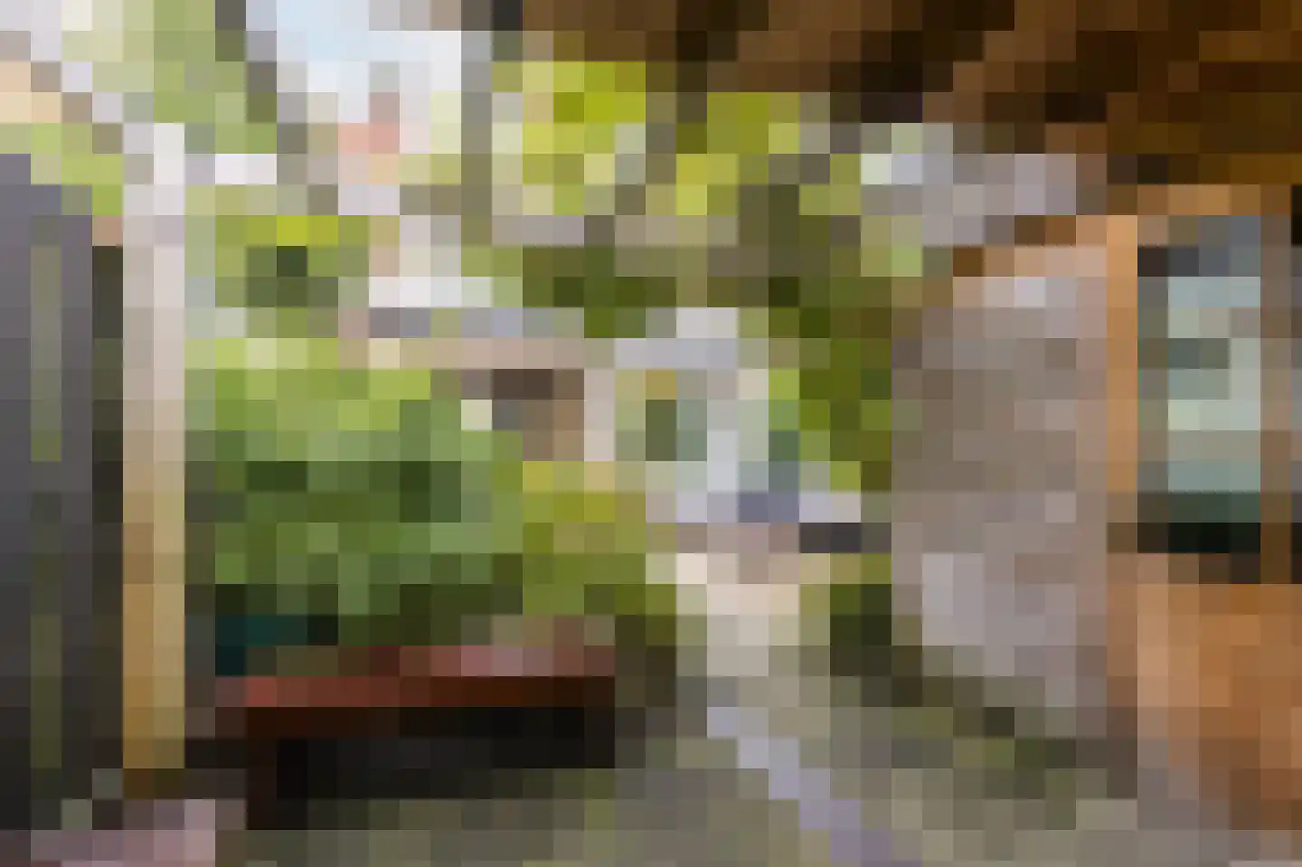 Larikslaan 240 Rotterdam thumbnail 52
