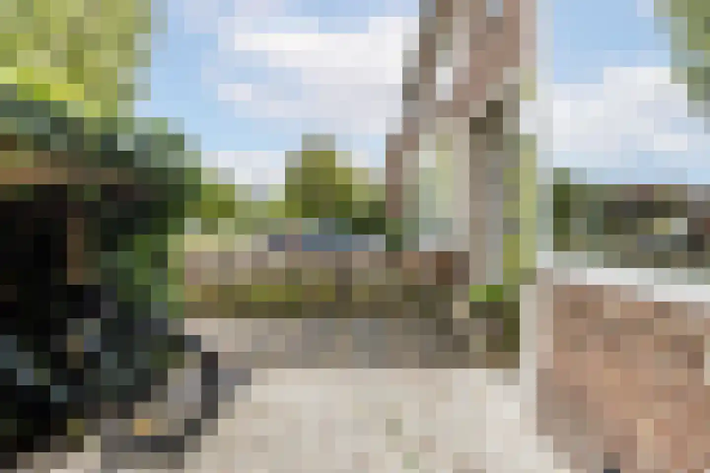 Larikslaan 240 Rotterdam thumbnail 59