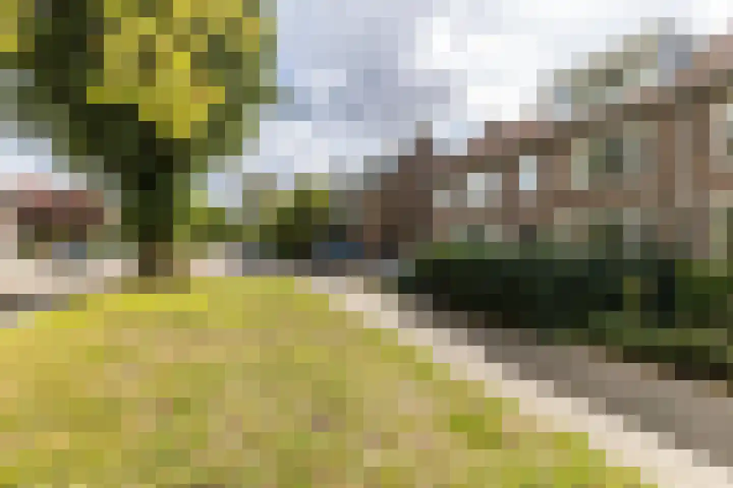 Larikslaan 240 Rotterdam thumbnail 62