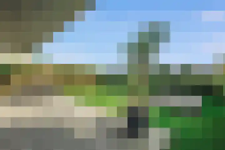 Larikslaan 29 Amsterdam thumbnail 6