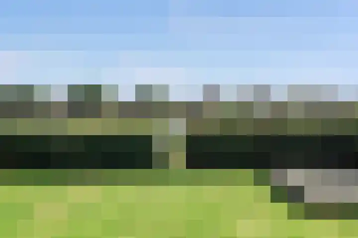 Larikslaan 29 Amsterdam thumbnail 7