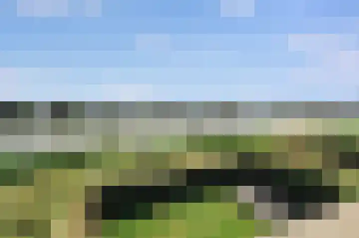 Larikslaan 29 Amsterdam thumbnail 9