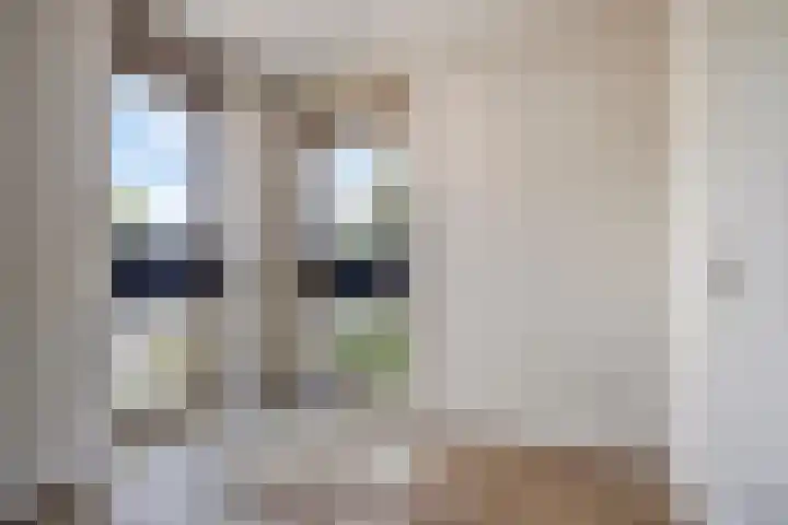 Larikslaan 3 a Leusden thumbnail 18