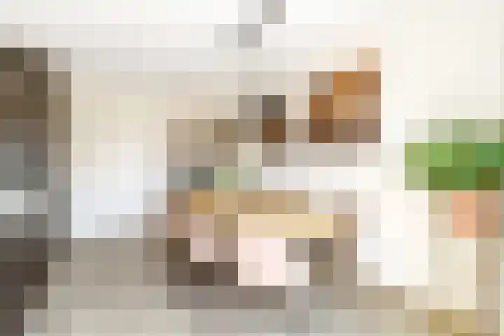 Larikslaan 3 c Leusden thumbnail 11