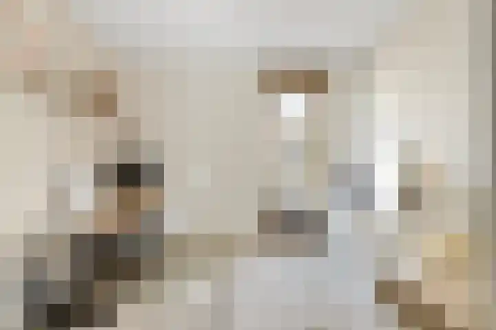 Larikslaan 3 c Leusden thumbnail 15