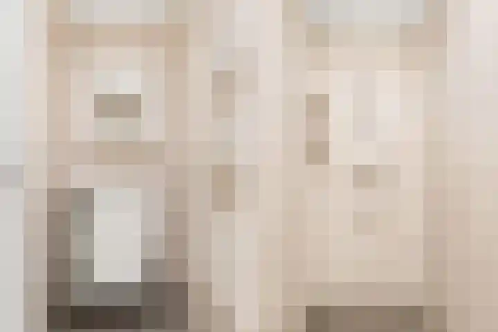Larikslaan 3 c Leusden thumbnail 17