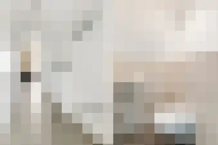 Larikslaan 3 c Leusden thumbnail 19