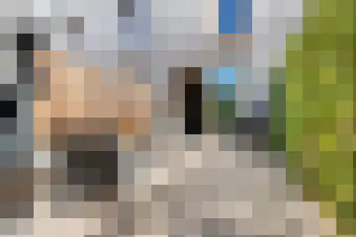 Larikslaan 3 c Leusden thumbnail 24