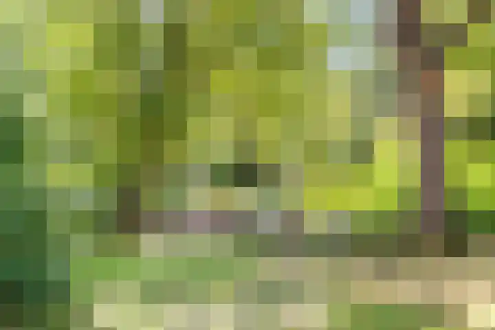 Larikslaan 3 c Leusden thumbnail 28