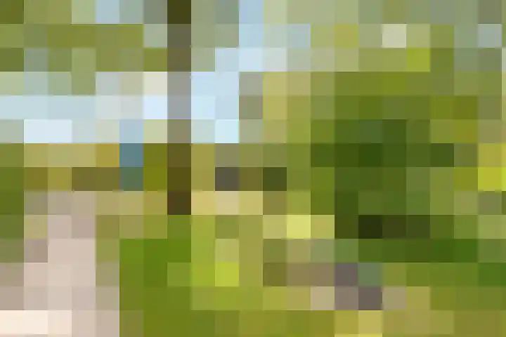 Larikslaan 3 c Leusden thumbnail 29