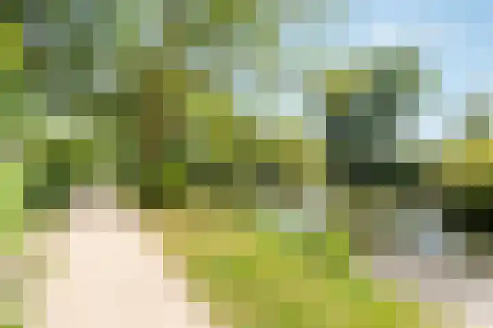 Larikslaan 3 c Leusden thumbnail 30