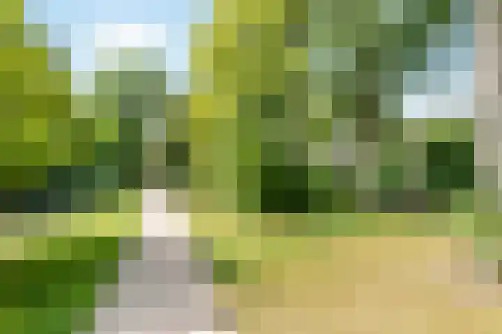 Larikslaan 3 c Leusden thumbnail 31
