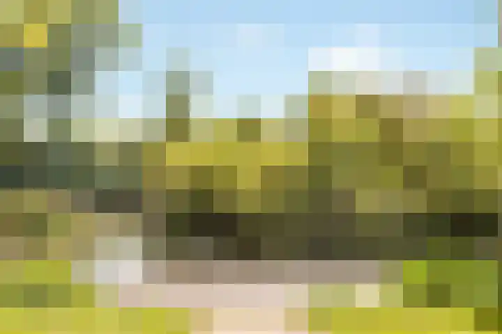 Larikslaan 3 c Leusden thumbnail 34