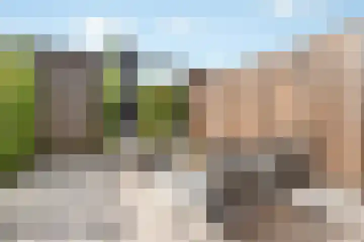 Larikslaan 3 c Leusden thumbnail 4