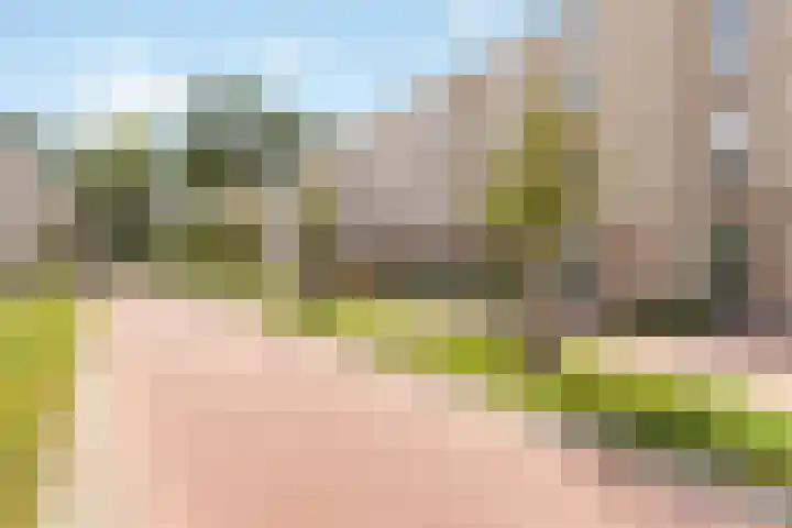 Larikslaan 3 c Leusden thumbnail 6