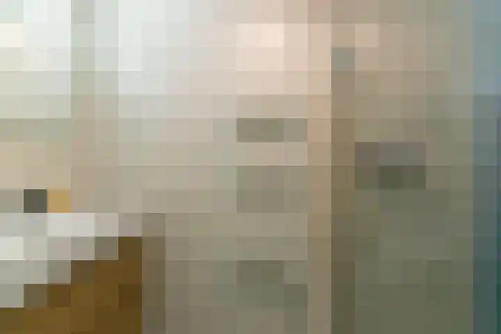 Larikslaan 3 e Leusden thumbnail 29