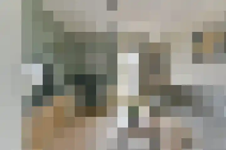 Larikslaan 3 e Leusden thumbnail 32