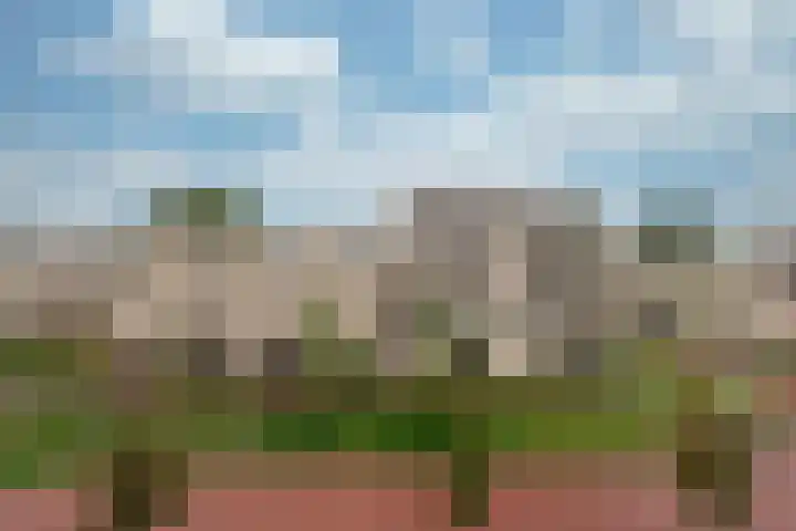 Larikslaan 3 e Leusden thumbnail 41