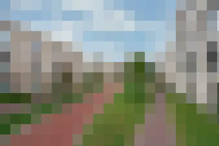 Larikslaan 3 e Leusden thumbnail 43