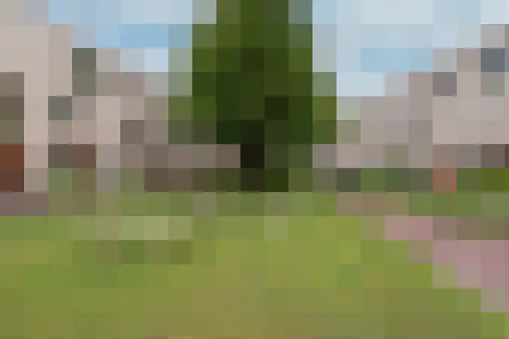 Larikslaan 3 e Leusden thumbnail 44