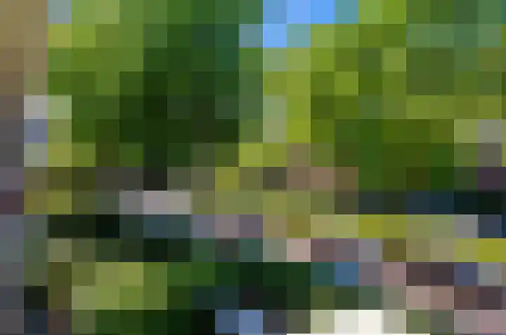 Larikslaan 3 Rijswijk thumbnail 10