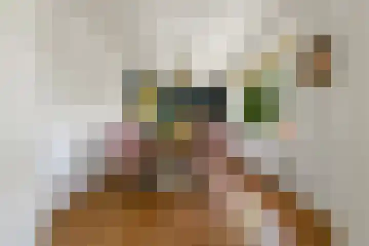 Larikslaan 3 Rijswijk thumbnail 11