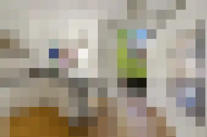 Larikslaan 3 Rijswijk thumbnail 14