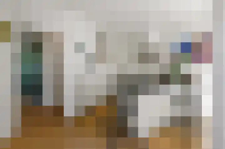 Larikslaan 3 Rijswijk thumbnail 15