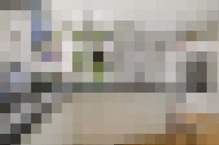 Larikslaan 3 Rijswijk thumbnail 16
