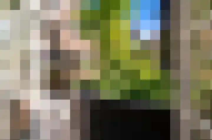 Larikslaan 3 Rijswijk thumbnail 17