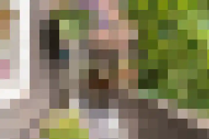 Larikslaan 3 Rijswijk thumbnail 18